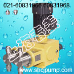 2J-X双泵头柱塞式计量泵